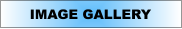 IMAGE GALLERY